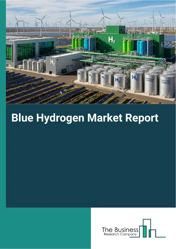 Blue Hydrogen Market Report 2026 Blue Hydrogen Market Report 2026