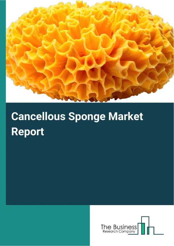 Cancellous Sponge Market Report 2026 Cancellous Sponge Market Report 2026