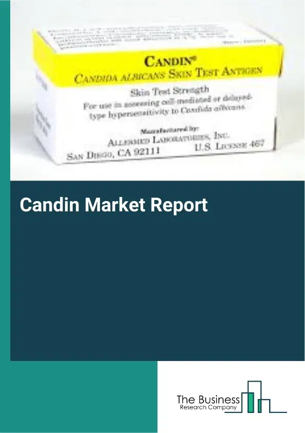 Candin Market Report 2026 Candin Market Report 2026