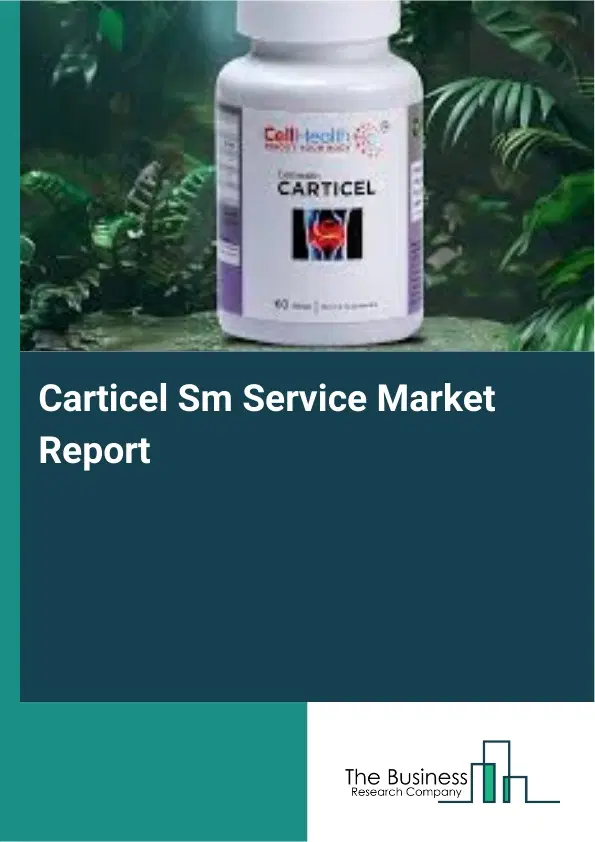 Carticel Sm Service Market Report 2026 Carticel Sm Service Market Report 2026