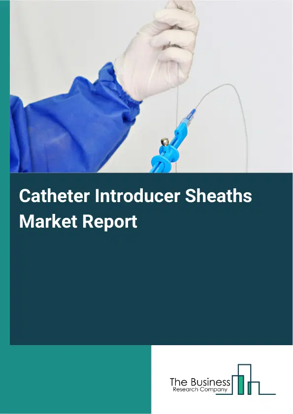 Catheter Introducer Sheaths Market Report 2026 Catheter Introducer Sheaths Market Report 2026
