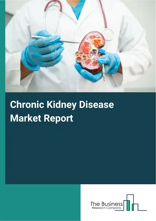 Global Chronic Kidney Disease Market Report 2026 Global Chronic Kidney Disease Market Report 2026