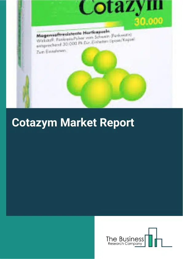 Cotazym Market Report 2026 Cotazym Market Report 2026
