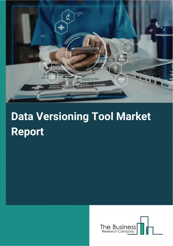 Data Versioning Tool Market Report 2026 Data Versioning Tool Market Report 2026