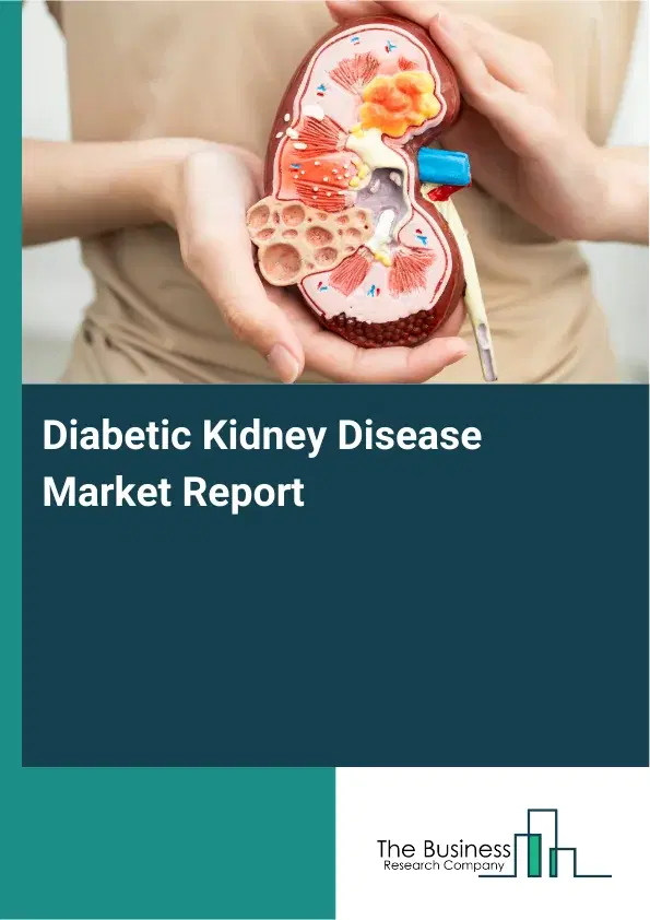 Global Diabetic Kidney Disease Market Report 2026 Global Diabetic Kidney Disease Market Report 2026