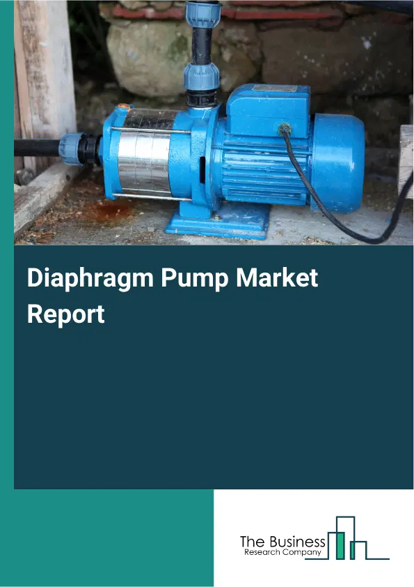 Global Diaphragm Pump Market Report 2026 Global Diaphragm Pump Market Report 2026