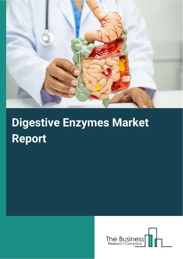 Global Digestive Enzymes Market Report 2026 Global Digestive Enzymes Market Report 2026