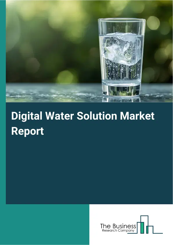 Digital Water Solution Market Report 2026 Digital Water Solution Market Report 2026