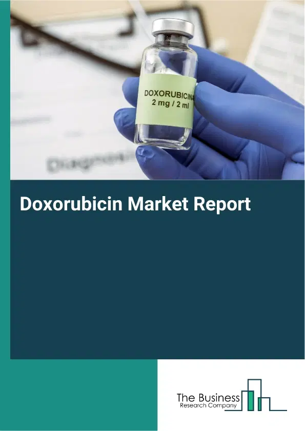 Doxorubicin Market Report 2026 Doxorubicin Market Report 2026