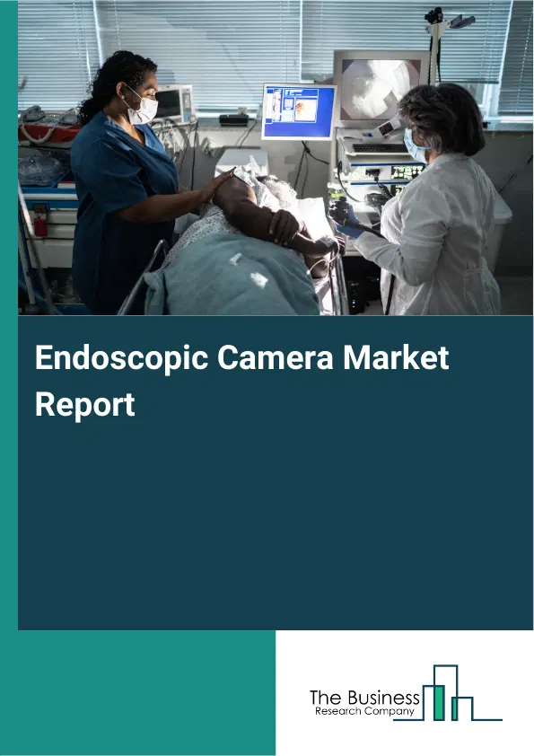 Global Endoscopic Camera Market Report 2026 Global Endoscopic Camera Market Report 2026