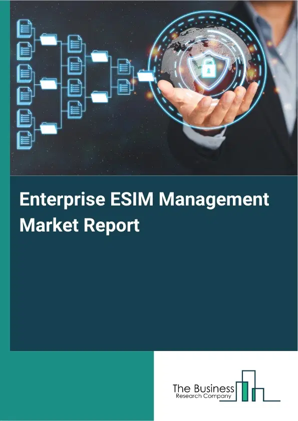 Enterprise ESIM Management Market Report 2026 Enterprise ESIM Management Market Report 2026
