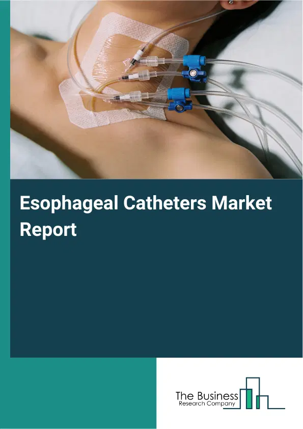 Esophageal Catheters Market Report 2026 Esophageal Catheters Market Report 2026