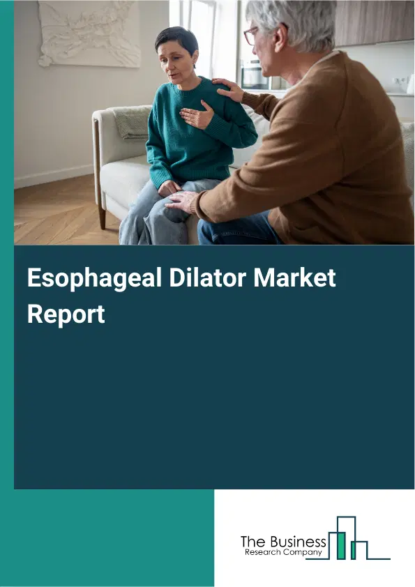 Esophageal Dilator Market Report 2026 Esophageal Dilator Market Report 2026