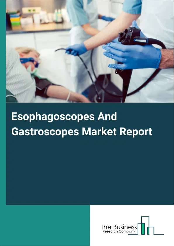 Esophagoscopes And Gastroscopes Market Report 2026 Esophagoscopes And Gastroscopes Market Report 2026
