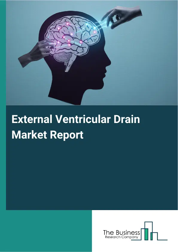 External Ventricular Drain Market Report 2026 External Ventricular Drain Market Report 2026