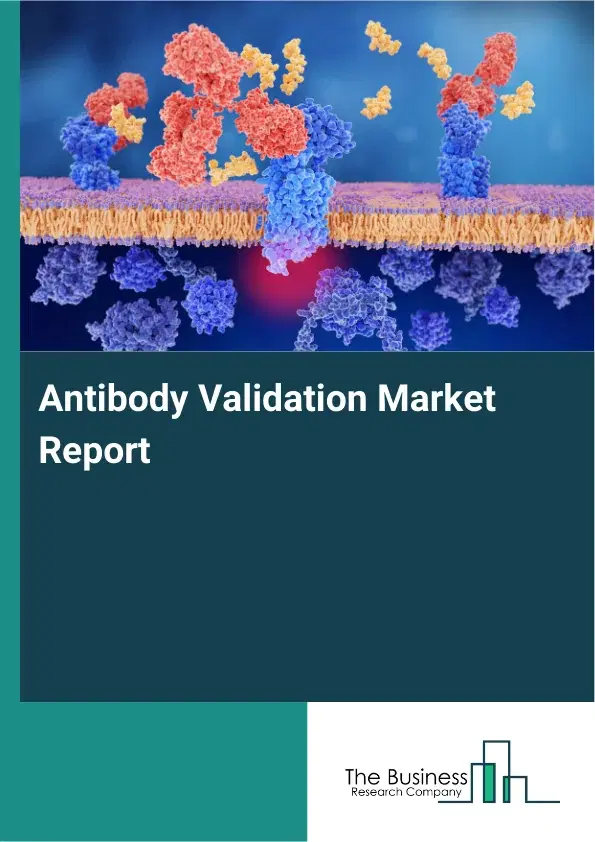 Antibody Validation Market Report 2026 Antibody Validation Market Report 2026