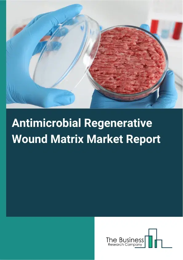Antimicrobial Regenerative Wound Matrix Market Report 2026 Antimicrobial Regenerative Wound Matrix Market Report 2026