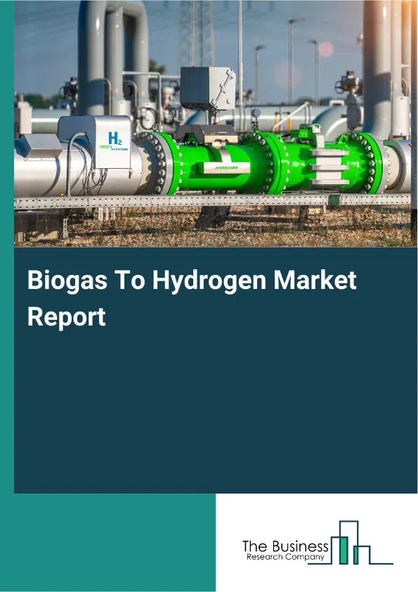 Global Biogas To Hydrogen Market Report 2026 Global Biogas To Hydrogen Market Report 2026