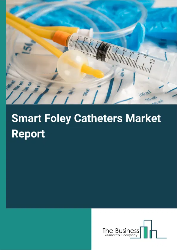 Smart Foley Catheters Market Report 2026 Smart Foley Catheters Market Report 2026