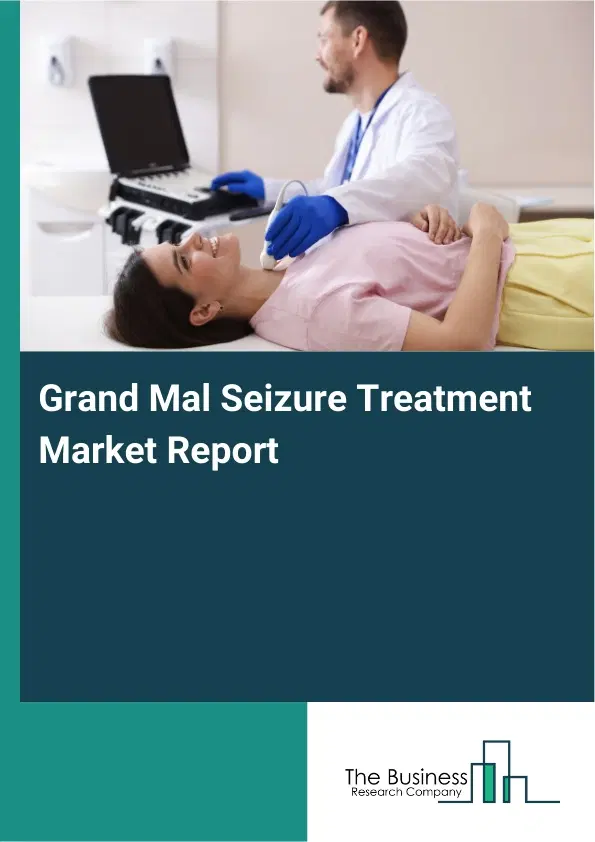Grand Mal Seizure Treatment Market Report 2026 Grand Mal Seizure Treatment Market Report 2026