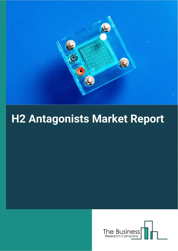 H2 Antagonists Market Report 2026 H2 Antagonists Market Report 2026