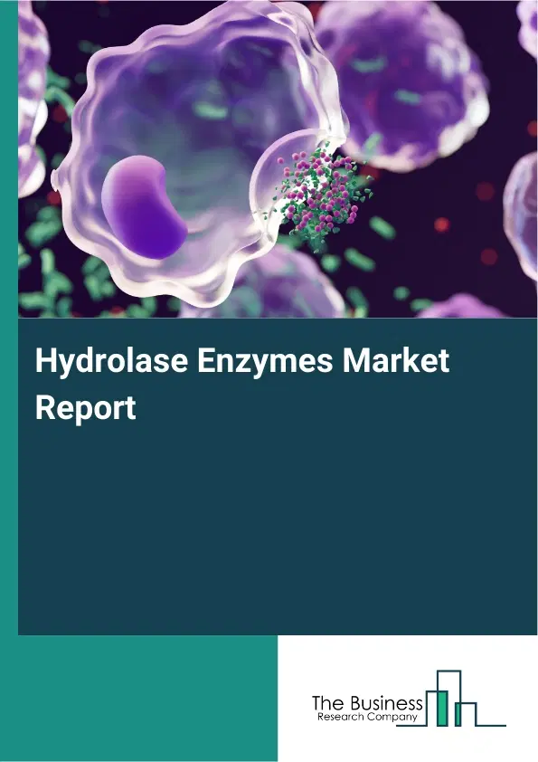 Hydrolase Enzymes Market Report 2026 Hydrolase Enzymes Market Report 2026