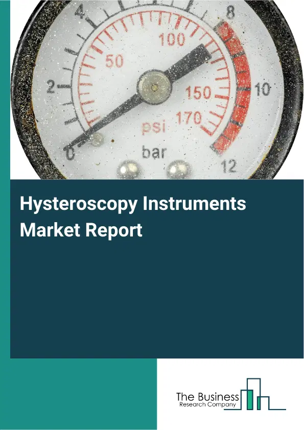 Hysteroscopy Instruments Market Report 2026 Hysteroscopy Instruments Market Report 2026