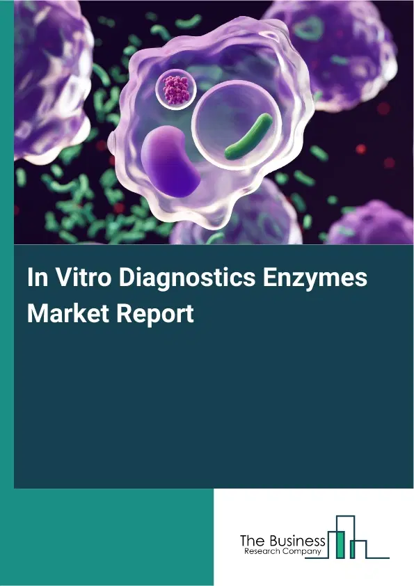 In Vitro Diagnostics Enzymes Market Report 2026 In Vitro Diagnostics Enzymes Market Report 2026