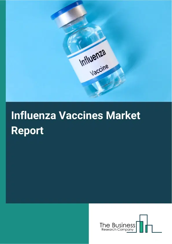 Global Influenza Vaccines Market Report 2026 Global Influenza Vaccines Market Report 2026