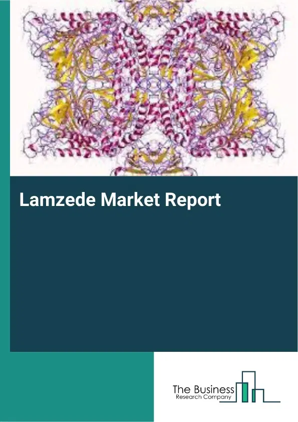 Lamzede Market Report 2026 Lamzede Market Report 2026