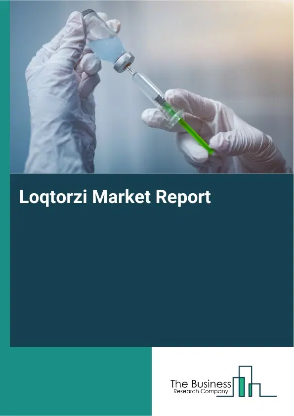Loqtorzi Market Report 2026 Loqtorzi Market Report 2026