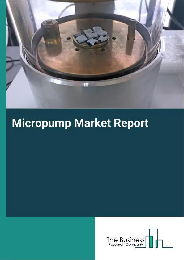 Micropump Market Report 2026 Micropump Market Report 2026