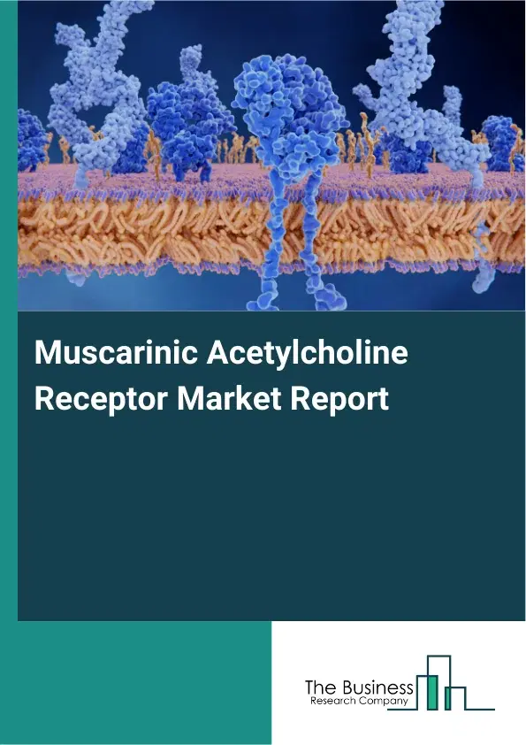 Global Muscarinic Acetylcholine Receptor Market Report 2026 Global Muscarinic Acetylcholine Receptor Market Report 2026