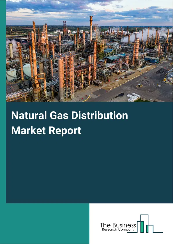 Natural Gas Distribution Market Report 2026 Natural Gas Distribution Market Report 2026