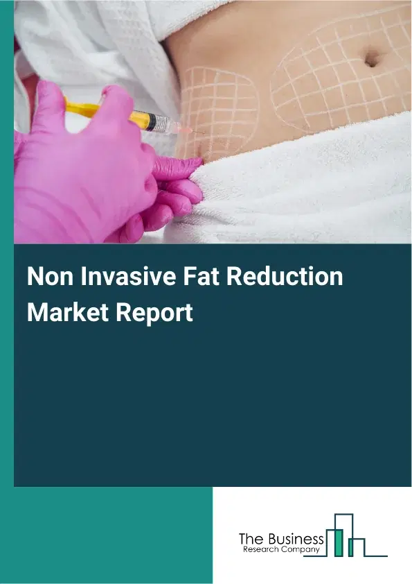 Global Non Invasive Fat Reduction Market Report 2026 Global Non Invasive Fat Reduction Market Report 2026