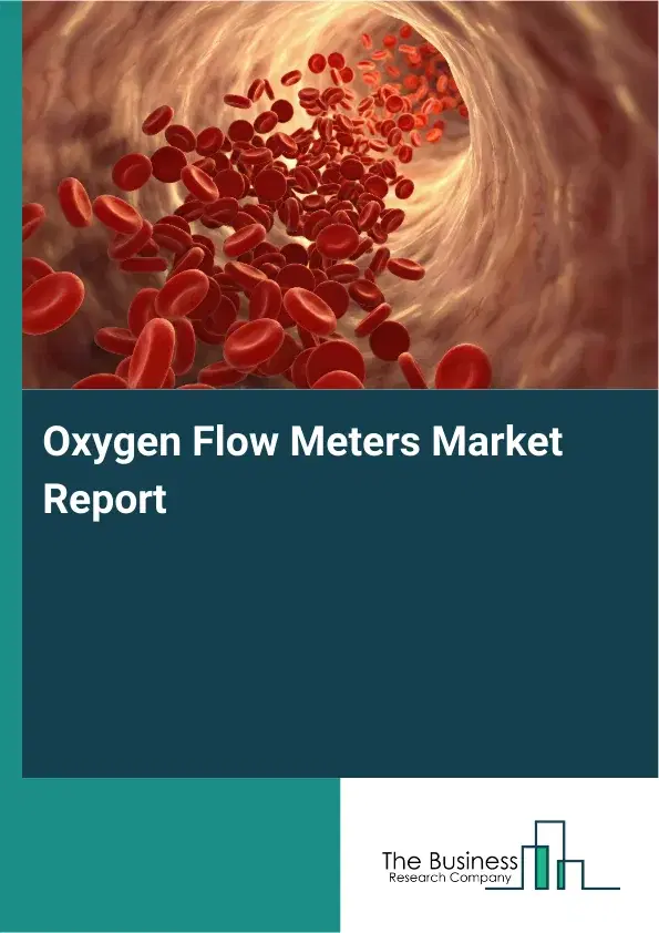 Global Oxygen Flow Meters Market Report 2026 Global Oxygen Flow Meters Market Report 2026