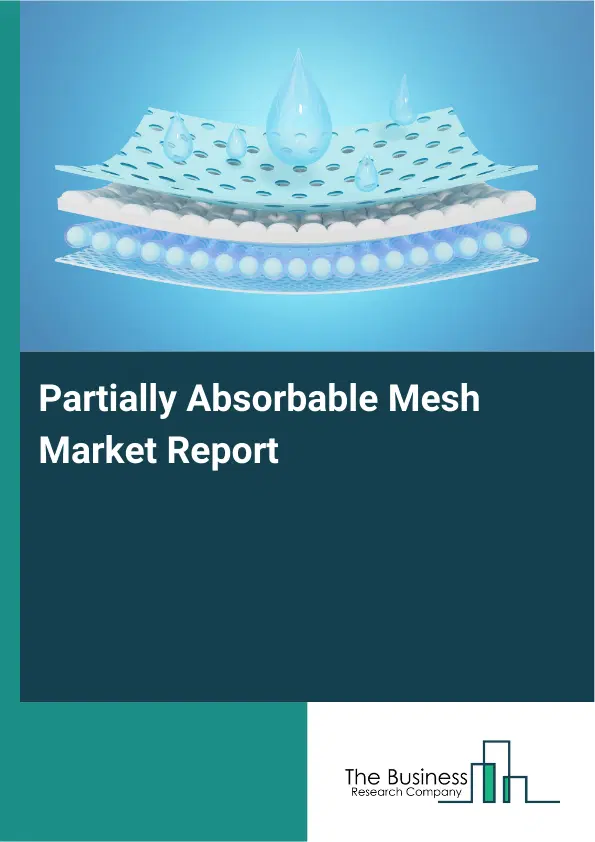 Partially Absorbable Mesh Market Report 2026 Partially Absorbable Mesh Market Report 2026
