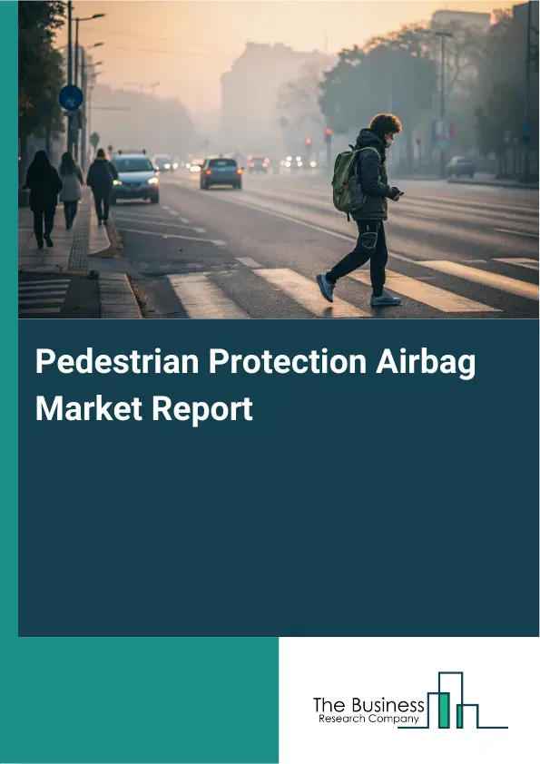 Pedestrian Protection Airbag Market Report 2026 Pedestrian Protection Airbag Market Report 2026