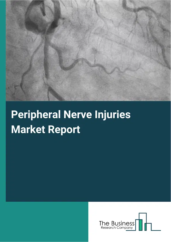 Peripheral Nerve Injuries Market Report 2026 Peripheral Nerve Injuries Market Report 2026