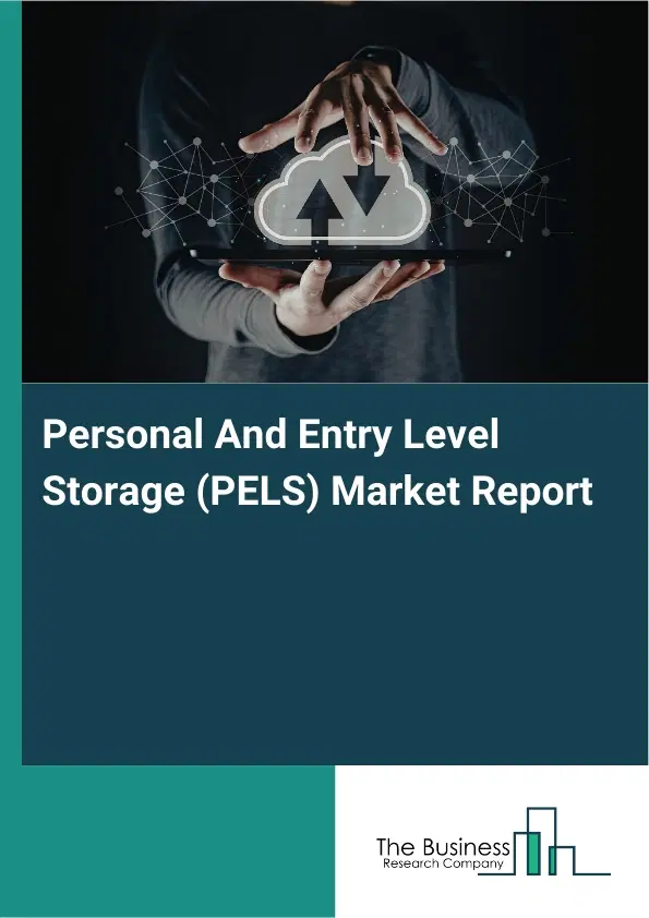 Personal And Entry Level Storage (PELS) Market Report 2026 Personal And Entry Level Storage (PELS) Market Report 2026