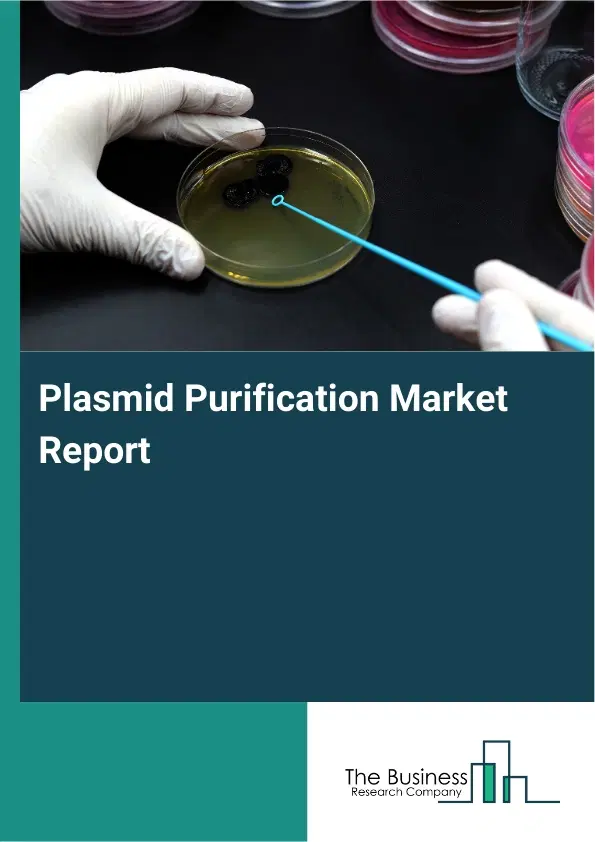 Plasmid Purification Market Report 2026 Plasmid Purification Market Report 2026