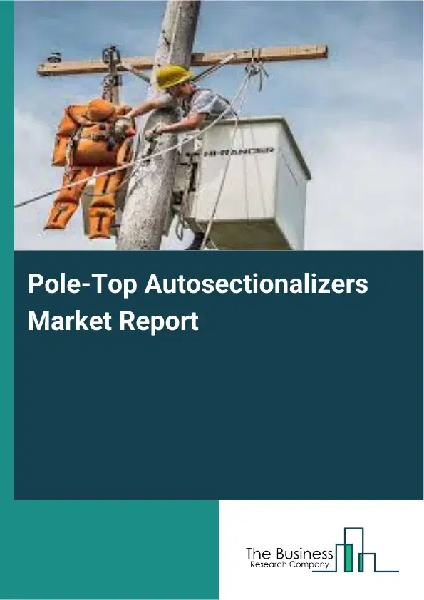 Pole-Top Autosectionalizers Market Report 2026 Pole-Top Autosectionalizers Market Report 2026