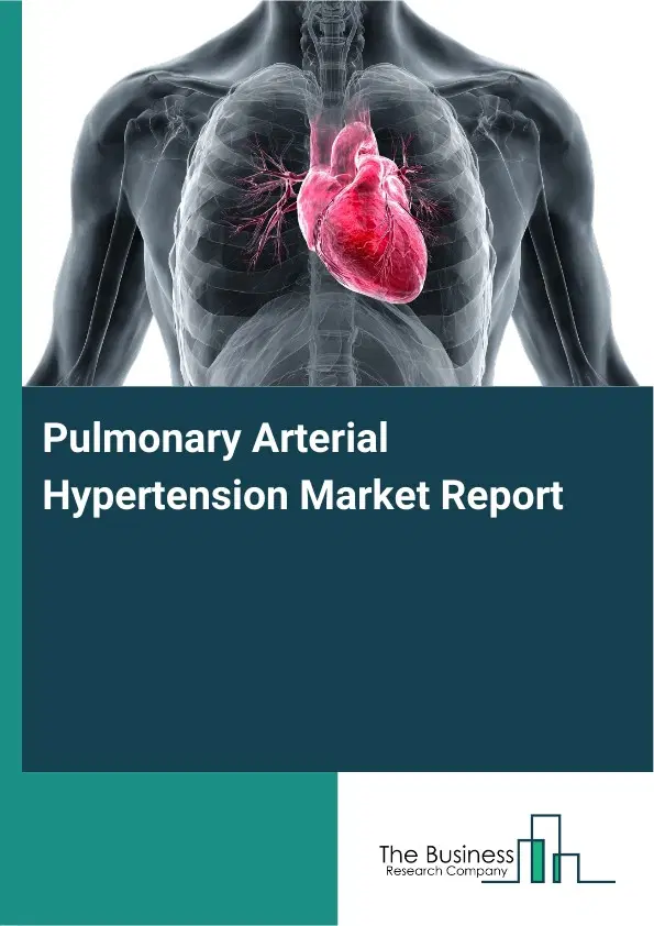 Global Pulmonary Arterial Hypertension Market Report 2026 Global Pulmonary Arterial Hypertension Market Report 2026