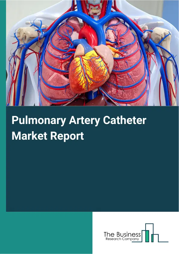 Pulmonary Artery Catheter Market Report 2026 Pulmonary Artery Catheter Market Report 2026