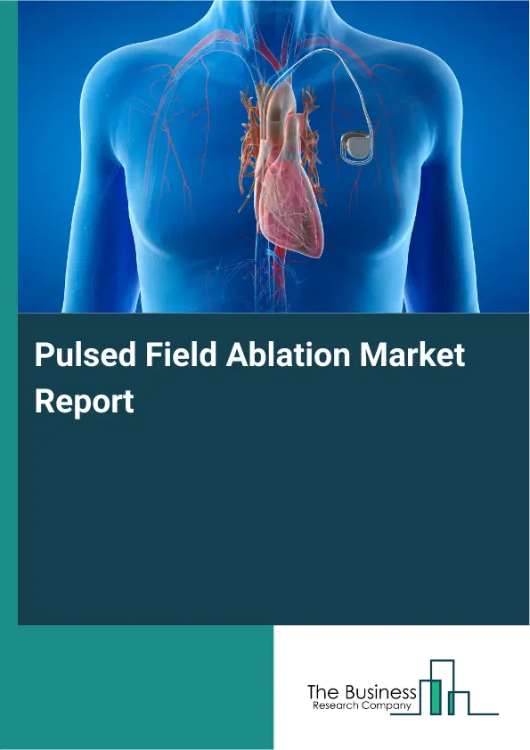 Pulsed Field Ablation Market Report 2026 Pulsed Field Ablation Market Report 2026