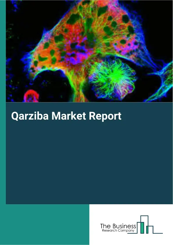 Qarziba Market Report 2026 Qarziba Market Report 2026