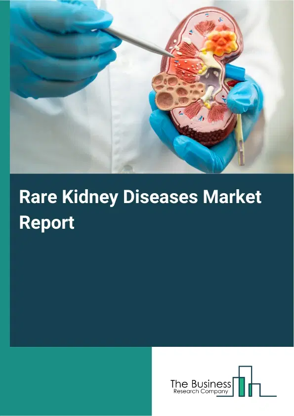 Global Rare Kidney Diseases Market Report 2026 Global Rare Kidney Diseases Market Report 2026
