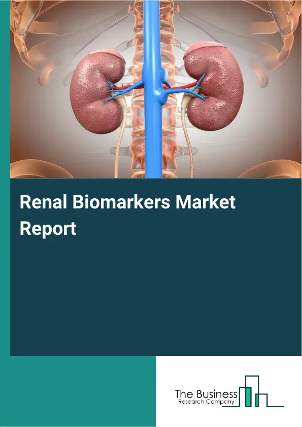 Global Renal Biomarkers Market Report 2026 Global Renal Biomarkers Market Report 2026