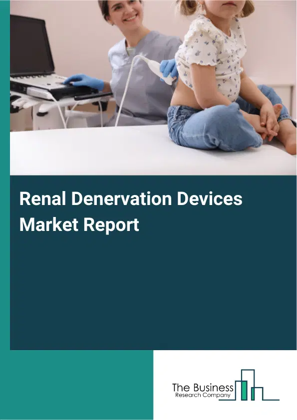 Renal Denervation Devices Market Report 2026 Renal Denervation Devices Market Report 2026