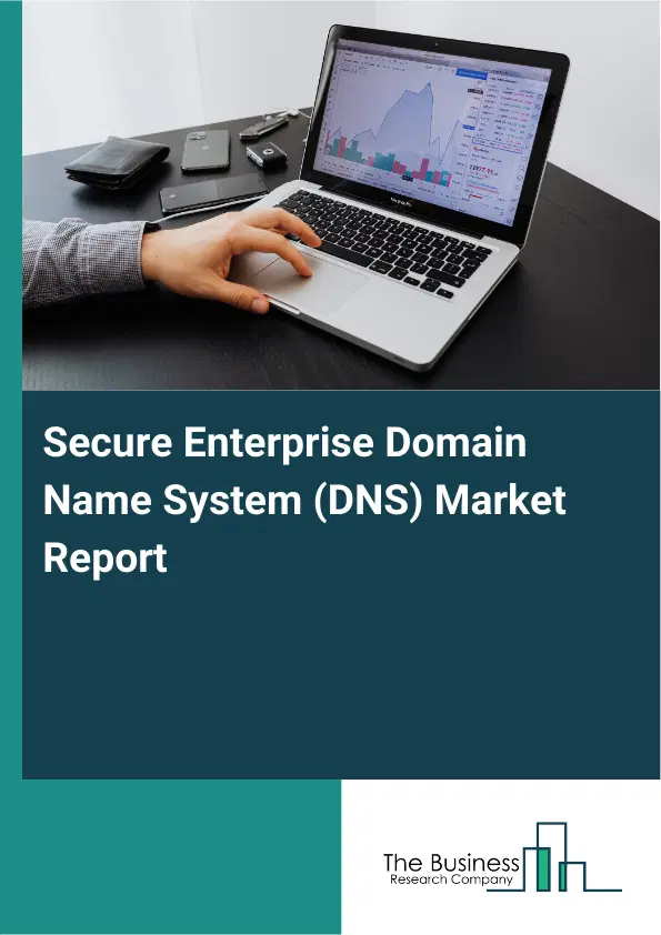 Secure Enterprise Domain Name System (DNS) Market Report 2026 Secure Enterprise Domain Name System (DNS) Market Report 2026